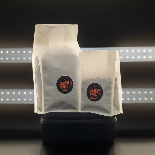 New School Decaf | Honduras