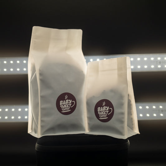 OLD SCHOOL DRIP | TIRAMISU, VANILLA WAFER, PRALINES | Honey Process | EL SALVADOR