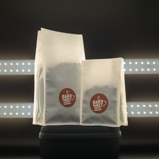 OLD SCHOOL DRIP | CARAMEL APPLE, CHOCOLATE PASTRY, HAZELNUT | Washed Process | COSTA RICA